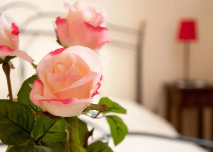 La Vigna Bed & Breakfast