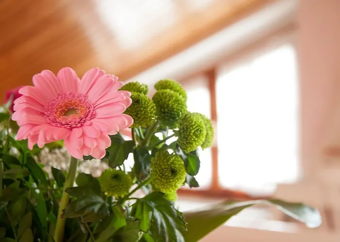 La Vigna Bed & Breakfast